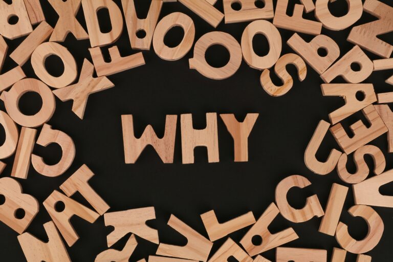 Why Language Access Matters in Immigrant Integration